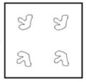 एक कागज को मोड़ने का क्रम और मोड़े गए कागज को काटने का ढ़ग नीचे दिखाया गया है। उस आकृति का चयन करें, जो कागज़ के खुले हुए रूप से सबसे अधिक मिलती - जुलती हो।